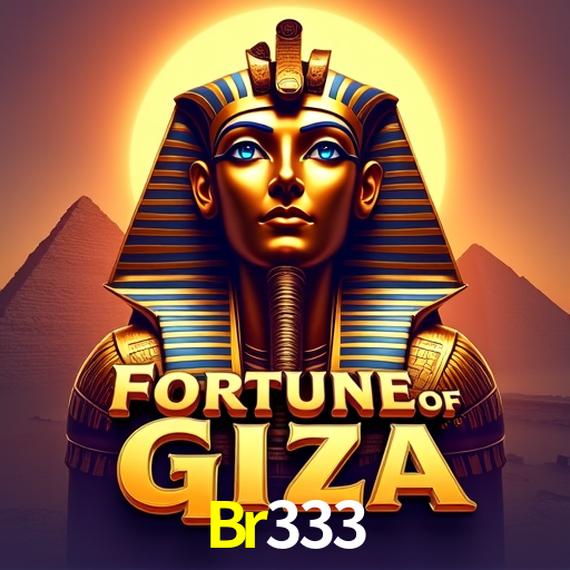 Br333